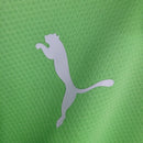 Camisa Palmeiras Treino 23/24 polo - Torcedor Puma Masculina - Verde