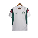 Camisa Palmeiras Treino 23/24 - Torcedor Puma Masculina - Branca com detalhes em vermelho e verde