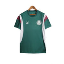 Camisa Palmeiras Treino 23/24 - Torcedor Puma Masculina - Verde e Branco