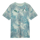 Camisa Palmeiras Pré-jogo 26/27 - Torcedor Puma Masculina - Verde e cinza