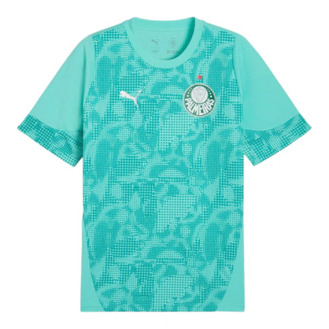 Camisa Palmeiras Treino 26/27 - Torcedor Puma Masculina - Verde