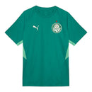 Camisa Palmeiras Treino 26/27 - Torcedor Puma Masculina - Verde