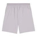 Short Palmeiras Treino 26/27 - Masculino Puma - Cinza