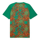 Camisa Seleção Costa do Marfim Pré- jogo 26/27 - Torcedor Puma Masculina - Verde e laranja