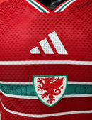 Camisa Seleção País de Gales I 26/27 - Jogador Adidas Masculina - Vermelha