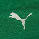 Camisa Fluminense Treino 26/27 - Torcedor Puma Masculina - Verde