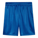 Short Palmeiras III 25/26 - Masculino Puma - Azul
