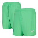 Short Everton Goleiro I 25/26 - Castore - Verde
