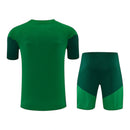 Kit Treino adulto - Camisa e Shorts - Seleção Argélia Adidas 26/27 - Verde