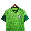 Camisa Palmeiras Treino 24/25 - Torcedor Puma Masculina - Verde