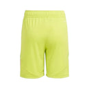 Shorts Arsenal Goleiro 24/25 - Masculino Adidas - Verde
