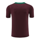 Camisa Paris Saint-Germain Treino 24/25 - Torcedor Nike Masculina - Vinho com detalhes em verde