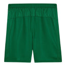 Short Palmeiras II 26/27 - Masculino Puma - Verde