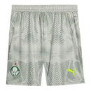 Short Palmeiras Goleiro III 25/26 - Masculino Puma - Cinza