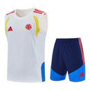 Kit Treino adulto - Camisa e Shorts - Seleção Colômbia Adidas 26/27 - Branco e azul