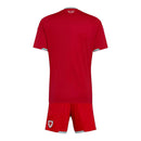 Kit Infantil Seleção País de Gales I 26/27- Adidas - Vermelho