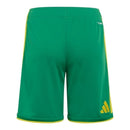 Short Seleção África do Sul I 26/27 - Adidas - Verde