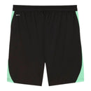 Short Seleção Áustria Treino 26/27 - Masculino Puma - Preto e verde