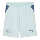 Short Seleção Suíça II 26/27 - Masculino Puma - Azul