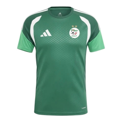 Camisa Seleção Argélia Treino 26/27 - Torcedor Adidas Masculina - Verde